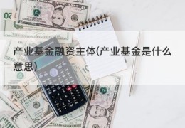 产业基金融资主体(产业基金是什么意思)